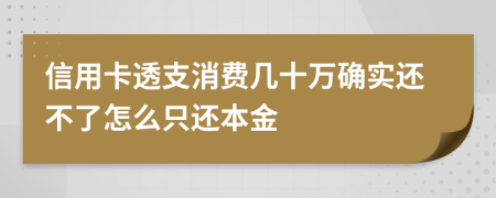 信用卡透支消费几十万确实还不了怎么只还本金