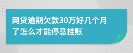 网贷逾期欠款30万好几个月了怎么才能停息挂账