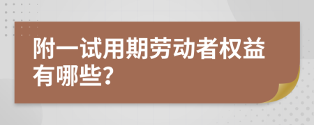 附一试用期劳动者权益有哪些？