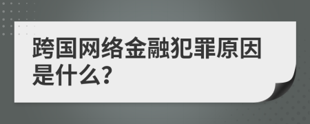 跨国网络金融犯罪原因是什么？