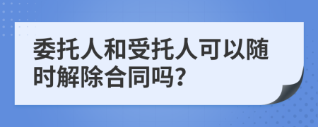 委托人和受托人可以随时解除合同吗？