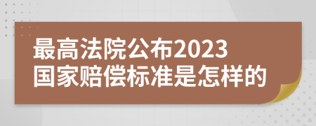 最高法院公布2023国家赔偿标准是怎样的