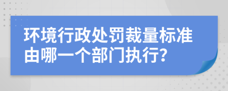 环境行政处罚裁量标准由哪一个部门执行？