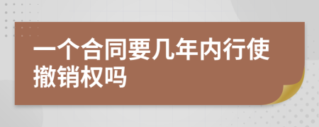 一个合同要几年内行使撤销权吗