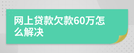 网上贷款欠款60万怎么解决