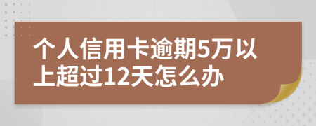 个人信用卡逾期5万以上超过12天怎么办