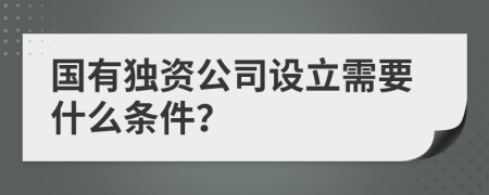 国有独资公司设立需要什么条件？