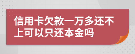 信用卡欠款一万多还不上可以只还本金吗