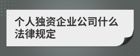 个人独资企业公司什么法律规定