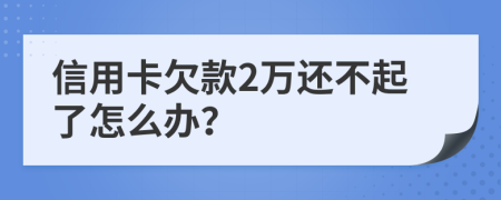 信用卡欠款2万还不起了怎么办？