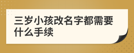 三岁小孩改名字都需要什么手续