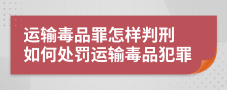 运输毒品罪怎样判刑 如何处罚运输毒品犯罪
