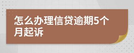 怎么办理信贷逾期5个月起诉