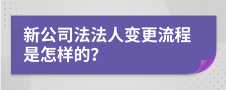 新公司法法人变更流程是怎样的？