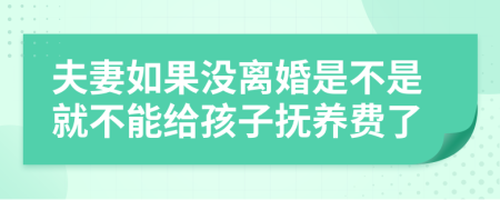 夫妻如果没离婚是不是就不能给孩子抚养费了