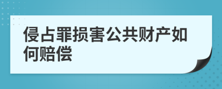 侵占罪损害公共财产如何赔偿