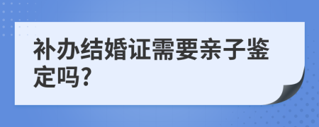 补办结婚证需要亲子鉴定吗?