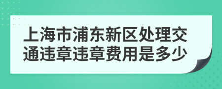 上海市浦东新区处理交通违章违章费用是多少