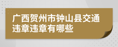 广西贺州市钟山县交通违章违章有哪些