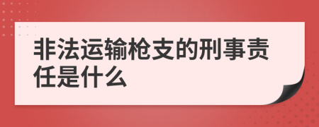 非法运输枪支的刑事责任是什么