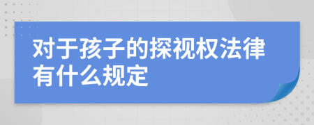 对于孩子的探视权法律有什么规定