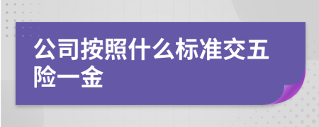 公司按照什么标准交五险一金