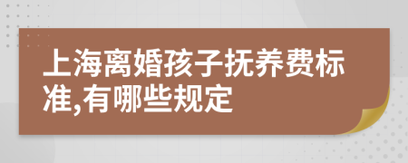 上海离婚孩子抚养费标准,有哪些规定