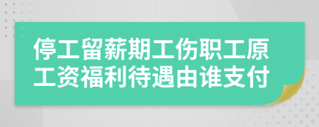 停工留薪期工伤职工原工资福利待遇由谁支付