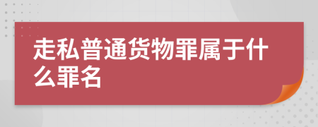 走私普通货物罪属于什么罪名