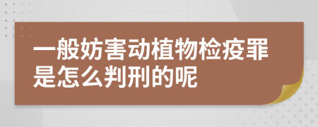 一般妨害动植物检疫罪是怎么判刑的呢