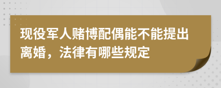 现役军人赌博配偶能不能提出离婚，法律有哪些规定