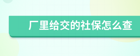 厂里给交的社保怎么查