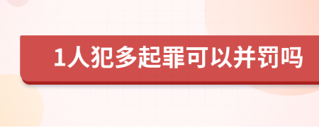 1人犯多起罪可以并罚吗