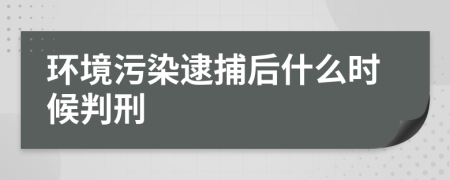 环境污染逮捕后什么时候判刑