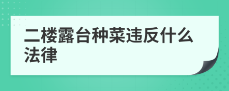 二楼露台种菜违反什么法律