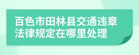 百色市田林县交通违章法律规定在哪里处理