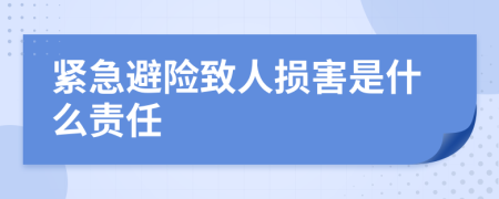 紧急避险致人损害是什么责任