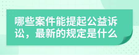 哪些案件能提起公益诉讼，最新的规定是什么