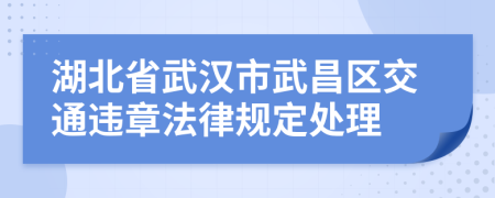 湖北省武汉市武昌区交通违章法律规定处理