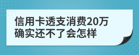 信用卡透支消费20万确实还不了会怎样