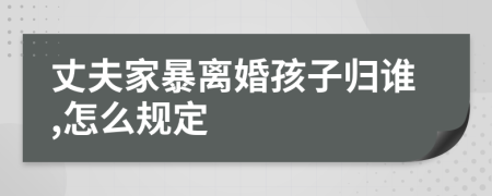 丈夫家暴离婚孩子归谁,怎么规定