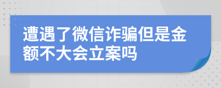 遭遇了微信诈骗但是金额不大会立案吗