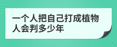 一个人把自己打成植物人会判多少年