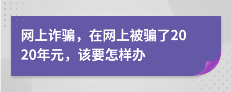 网上诈骗，在网上被骗了2020年元，该要怎样办
