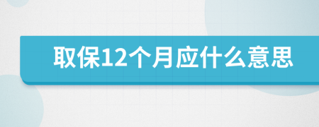 取保12个月应什么意思