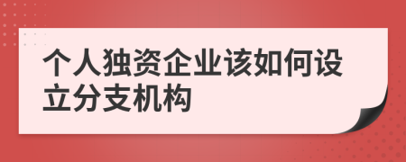 个人独资企业该如何设立分支机构