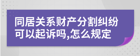 同居关系财产分割纠纷可以起诉吗,怎么规定