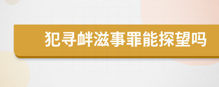 犯寻衅滋事罪能探望吗