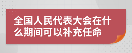 全国人民代表大会在什么期间可以补充任命