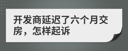 开发商延迟了六个月交房，怎样起诉